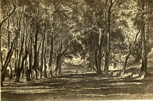 France Vosges Drawing of Plombieres Tivoli Promenade old CDV Photo 1865