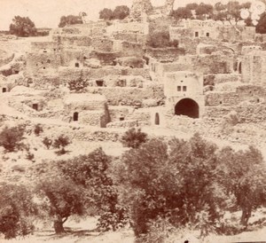 Bethanie Panorama Palestine old Stereo Photo 1900'
