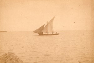 Algeria Alger Port Fish SailBoat old Photo 1890'