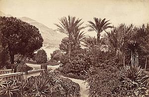 French Riviera Monte Carlo Garden Panorama old Jean Gilletta Photo 1880'