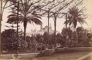 French Riviera Monte Carlo Casino Palm trees old Jean Gilletta Photo 1880