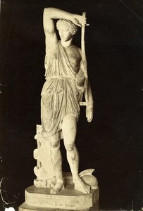 Italy Museum Antiquity Roman Sculpture Amazon Old Photo 1880