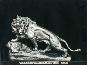 France Paris Art Deco Cadran Workshop Pellier Roaring Lion Old Photo 1930