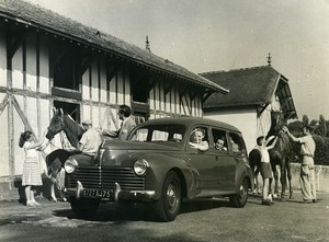 France Automobile Family Limousine 203 Peugeot Horses Stables Old Photo 1956
