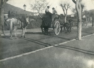 France Horses Cart Study Peasants Old Photo 1900