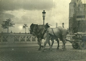 France? Horses Cart Goods Transport Old Photo 1900