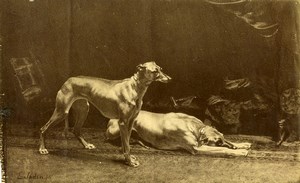 Arts Painting by Jadin Fils Greyhounds? Old Photo 1880