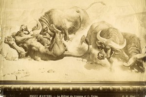 Arts Antwerp Defense of the herd Painting by Charles Verlat Old Photo 1880