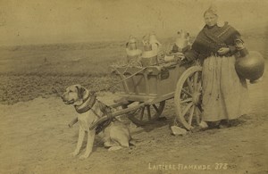 Belgium Flemish milkwoman Dog Cart Old Photo 1890