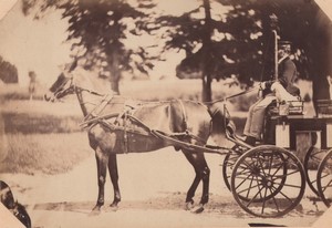 France Chateau du Bouchet No Name half thoroughbred horse old photo 1861