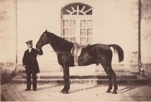 France Chateau du Bouchet Horse Sans Nom Study from Nature Old Photo 1861 #2