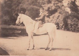 France Chateau du Bouchet Alep arabian horse Study from Nature Old Photo 1861 #1