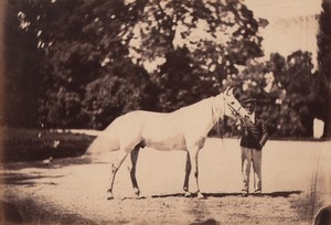 France Chateau du Bouchet Alep arabian horse Study from Nature Old Photo 1861 #2