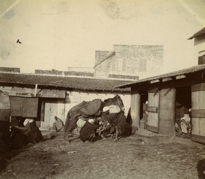 Morocco Tangier? Grand Socco Souk Market Scene Old Amateur Photo 1900 #2