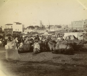 Morocco Tangier? Grand Socco Souk Market Scene Old Amateur Photo 1900 #5