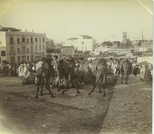 Morocco Tangier? Grand Socco Souk Market Scene Old Amateur Photo 1900 #6