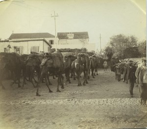 Morocco Tangier? Grand Socco Souk Market Scene Old Amateur Photo 1900 #7