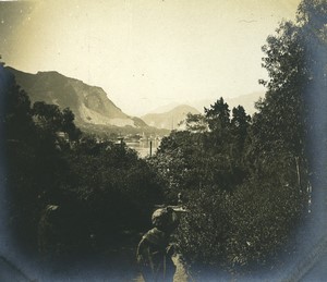 Italy Lake Lago Maggiore Pallanza from Isola Bella? Old Photo 1900