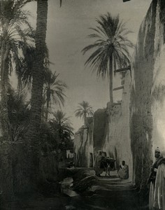 Algeria Biskra Ras El Guerriah Oasis village street  Old Photo Leroux 1900