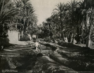 Algeria Biskra Sidi Barkat Road Old Photo Leroux 1900