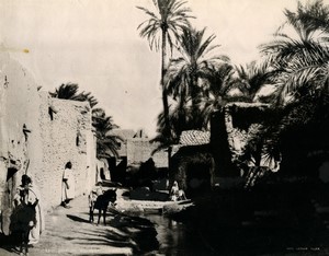 Algeria Biskra Medjenien district Medjniche Old Photo Leroux 1900