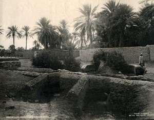 Algeria Biskra Seguias & entrance of the oasis Old Photo Leroux 1900