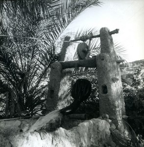 Algeria Saharan well Old Photo 1950