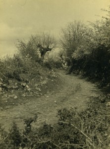 France Countryside dirt road Old Photo 1950