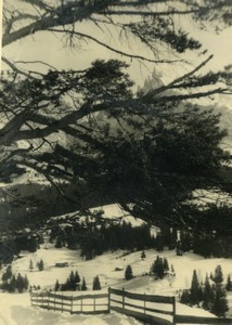 Italy Alps Dolomites? Mountain scene Old Photo 1950 #2