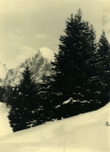 Italy Dolomites Langkofel Group Mountain Old Photo 1950 #2