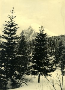 Italy Dolomites Langkofel Group Mountain Old Photo 1950 #3