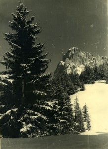 Italy Dolomites Langkofel Group Mountain Old Photo 1950 #4