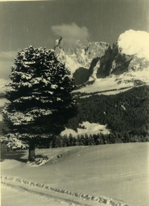 Italy Dolomites Langkofel Group Mountain Old Photo 1950 #5