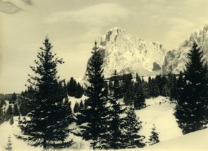 Italy Dolomites Langkofel Group? Mountain Old Photo 1950 #6