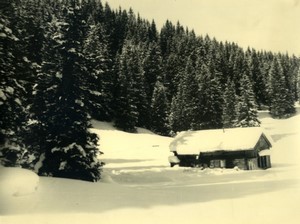 Italy Alps Dolomites? Mountain scene Old Photo 1950 #10