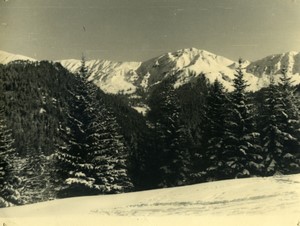 Italy Alps Dolomites? Mountain scene Old Photo 1950 #11