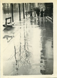 France Paris wet pavement tree reflections Old amateur Photo 1946