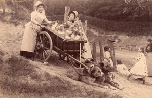 Laitiere Flamande Dairywoman Belgium? Dogs & Cart Milk Cans Old Photo 1890