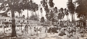 Colombia Cartagena Cemetery Palm Trees old GJ Becker Photo 1910's
