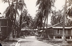 Panama Cristobal Roosevelt Avenue Houses Palm Trees Old GJ Becker Photo 1910's