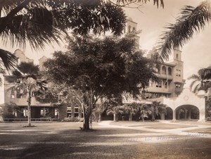 Jamaica Jamaique Kingston Myrtle Bank Hotel Trees old Photo 1910's