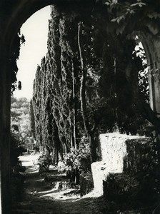 Tunisia Carthage Study Garden Landscape Old Photo Leon Lemaire 1935