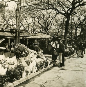 France Paris Snapshot Flowers Market old NPG Stereo Photo 1900