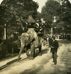 France Paris Snapshot Elephant Walk old NPG Stereo Photo 1900