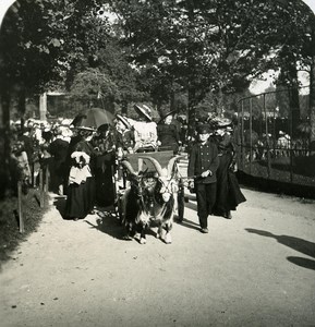 France Paris Snapshot Goat Cart old NPG Stereo Photo 1900