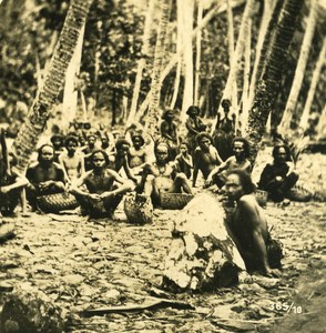 Caroline Islands Coconuts Crops Old Stereo Photo Kurt Boeck 1900