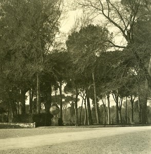 Italy Roma Villa Borghese Gardens Detail Old NPG Stereo Photo 1900