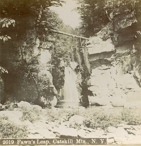 USA Fawn Leap Catskill Mounts New York Old Stereo Stereoview Photo 1900