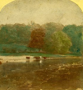 United Kingdom Landscape near Bolton Abbey Hand Colored Stereoview Photo 1860