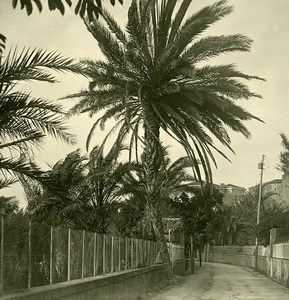 Italy Bordighera via Charles Garnier Old Stereoview photo NPG 1900